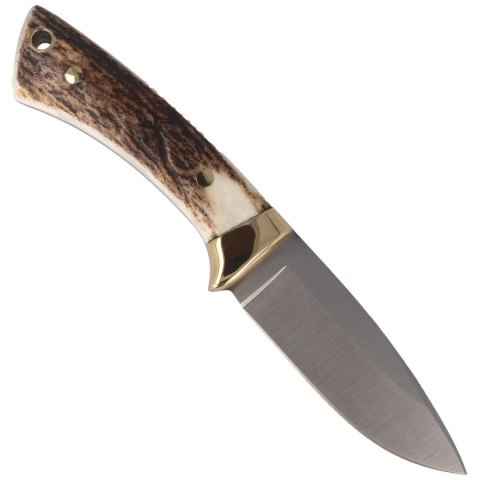 Nóż Muela Colibri COL-7A Deer Stag, Satin X50CrMoV15 Nóż Muela Colibri COL-7A Deer Stag, Satin X50CrMoV15