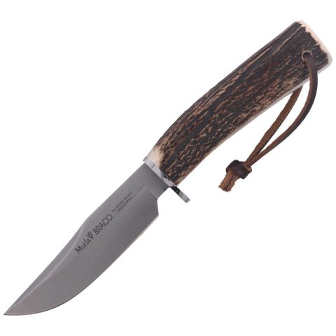Nóż Muela Braco-11A Deer Stag, Satin X50CrMoV15 Nóż Muela Braco-11A Deer Stag, Satin X50CrMoV15