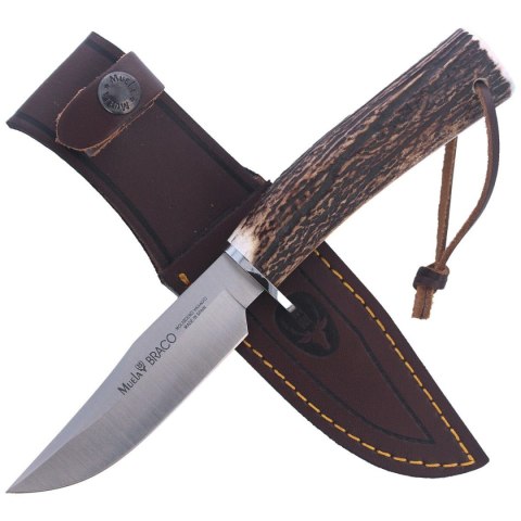 Nóż Muela Braco-11A Deer Stag, Satin X50CrMoV15 Nóż Muela Braco-11A Deer Stag, Satin X50CrMoV15