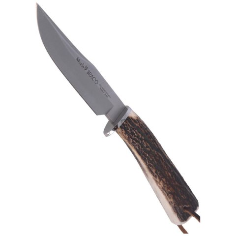 Nóż Muela Braco-11A Deer Stag, Satin X50CrMoV15 Nóż Muela Braco-11A Deer Stag, Satin X50CrMoV15