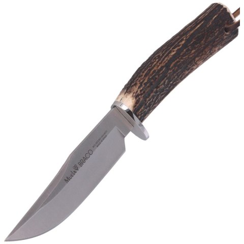 Nóż Muela Braco-11A Deer Stag, Satin X50CrMoV15 Nóż Muela Braco-11A Deer Stag, Satin X50CrMoV15