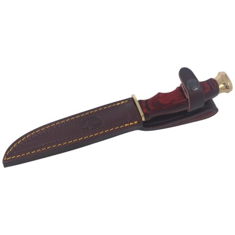 Nóż Muela BWF-14 Pakka Wood, Stain X50CrMoV15 Nóż Muela BWF-14 Pakka Wood, Stain X50CrMoV15