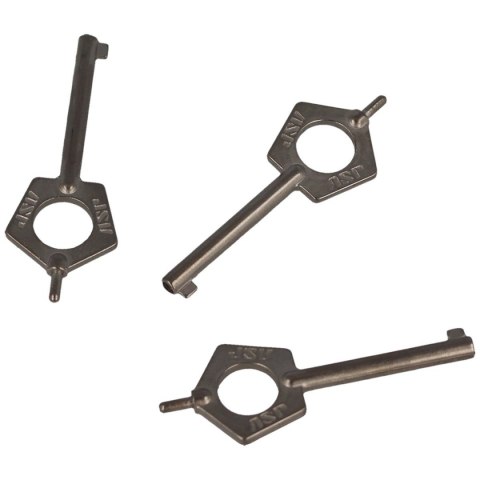 Kluczyki do kajdanek ASP Pentagon Handcuff Keys 3szt (56523-3) Kluczyki do kajdanek ASP Pentagon Handcuff Keys 3szt (56523-3)