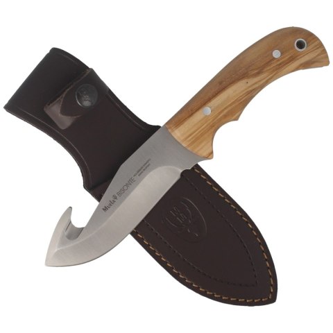 Nóż Muela Bisonte-11.OL Olive Wood, Satin X50CrMoV15 Nóż Muela Bisonte-11.OL Olive Wood, Satin X50CrMoV15